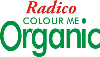 Radico Organic Hair Colour Ash Blonde 100g Healthy Being